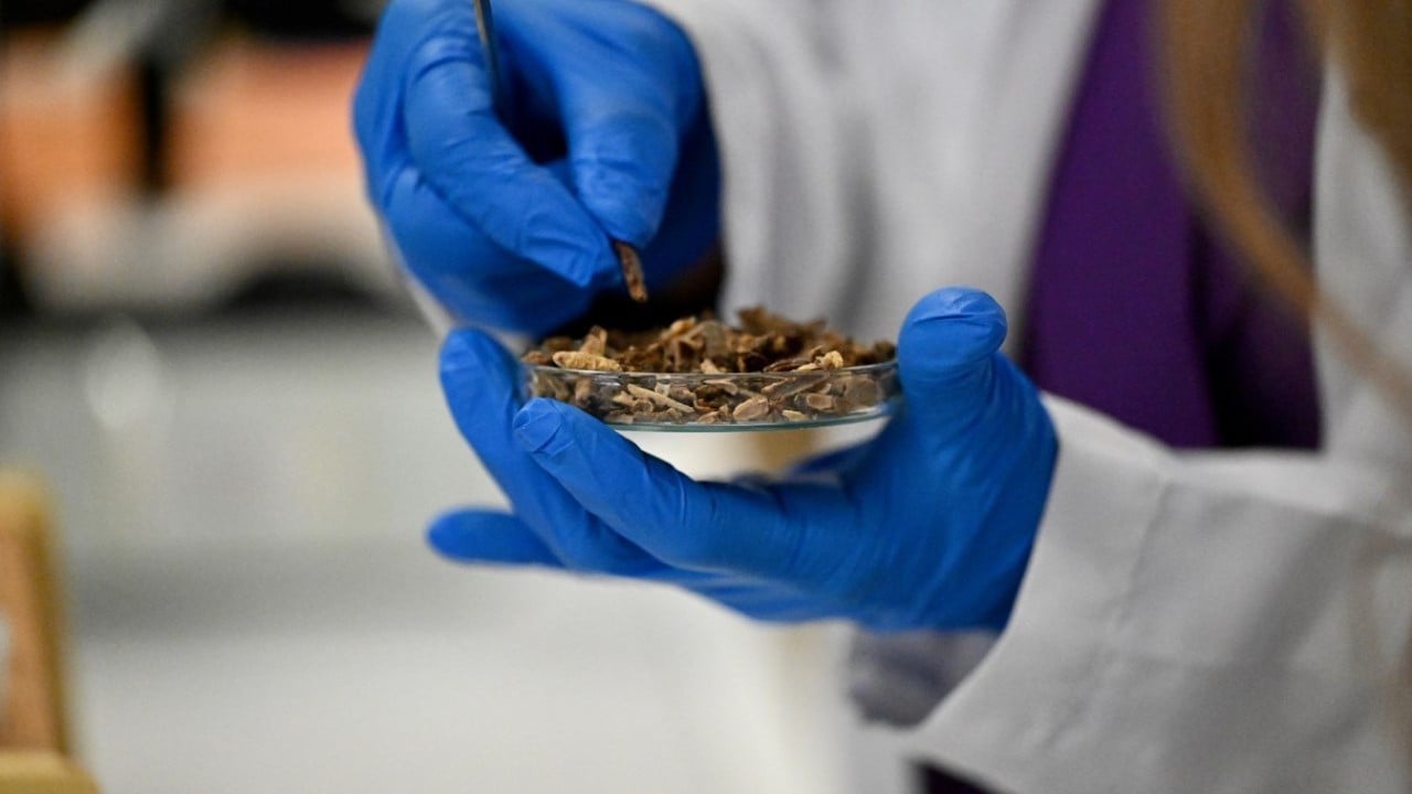 Foto - Propolis tüketmek çocukları nasıl etkiliyor? Araştırma sonucu açıklandı