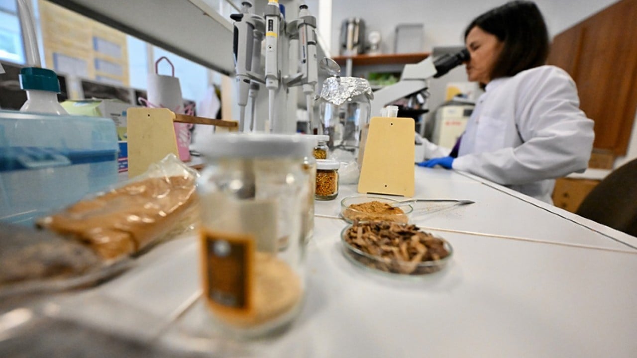 Foto - Propolis tüketmek çocukları nasıl etkiliyor? Araştırma sonucu açıklandı