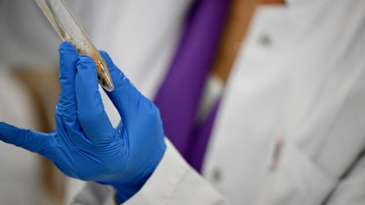 Foto - Propolis tüketmek çocukları nasıl etkiliyor? Araştırma sonucu açıklandı