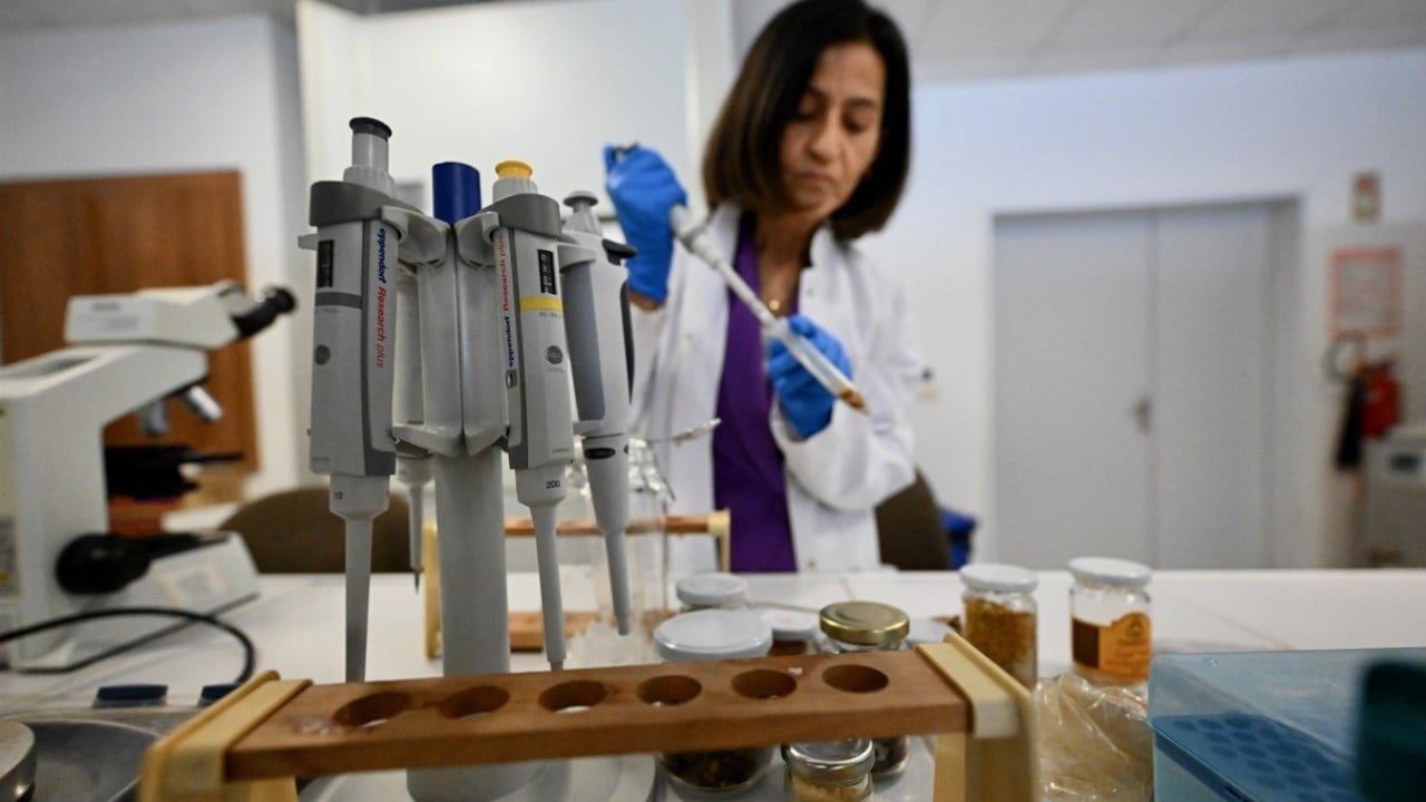 Foto - Propolis tüketmek çocukları nasıl etkiliyor? Araştırma sonucu açıklandı