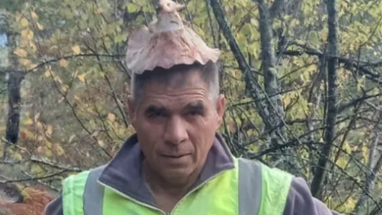 Kahvaltıda yumurta yerine protein deposu mantar tüketin: Kas gelişimini destekliyor ama uzmanlar uyarı yaptı