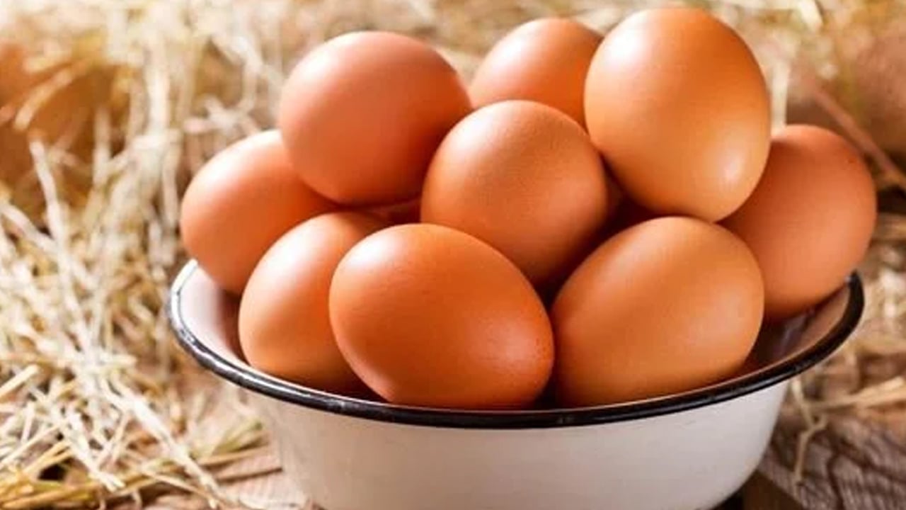 Foto - Kahvaltıda yumurta yerine protein deposu mantar tüketin: Kas gelişimini destekliyor ama uzmanlar uyarı yaptı