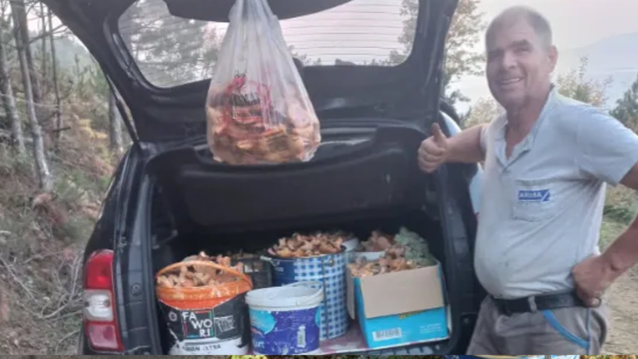 Foto - Kahvaltıda yumurta yerine protein deposu mantar tüketin: Kas gelişimini destekliyor ama uzmanlar uyarı yaptı