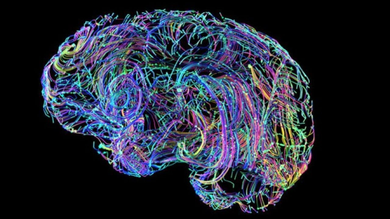 Psikopatların beyni normalden farklı çıktı!