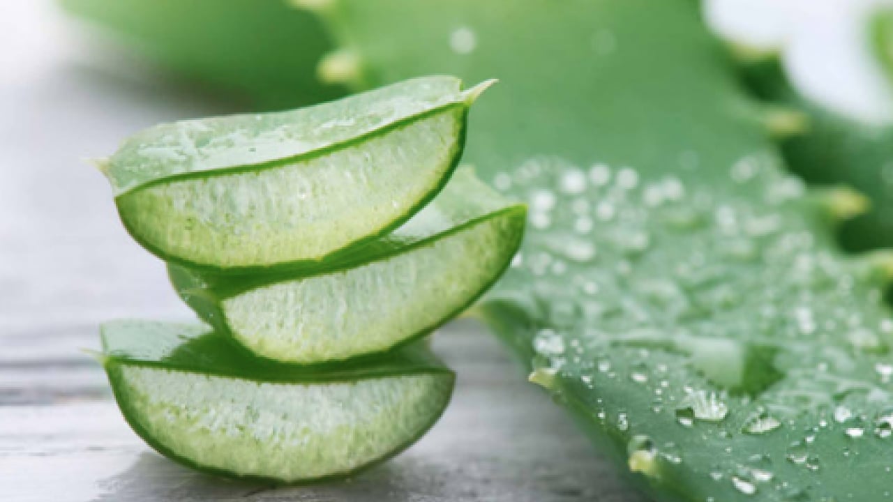 Foto - Pürüzsüz cildin formülü bu sebzede saklı! İlk uygulamada çok farklı bir yüze sahip olacaksınız...