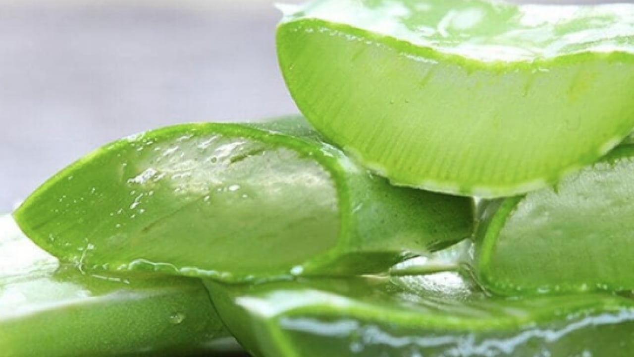 Foto - Pürüzsüz cildin formülü bu sebzede saklı! İlk uygulamada çok farklı bir yüze sahip olacaksınız...