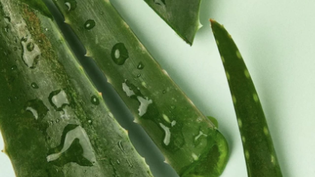 Foto - Pürüzsüz cildin formülü bu sebzede saklı! İlk uygulamada çok farklı bir yüze sahip olacaksınız...