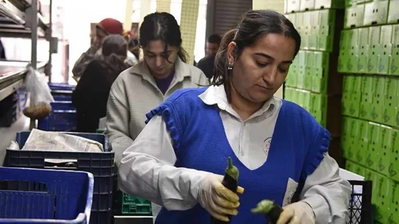 Foto - Putin özür dilemişti! Türkiye Rusya'yı ipten aldı, gemiler peş peşe yola çıktı