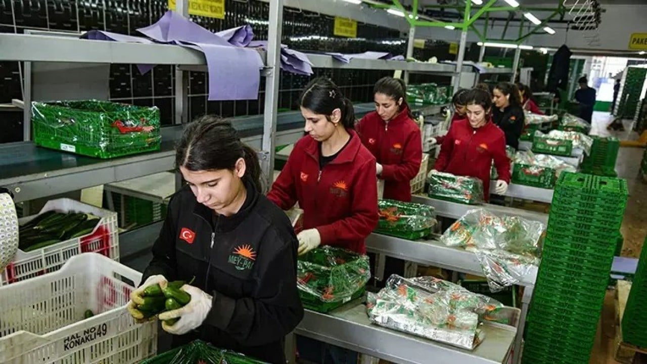 Foto - Putin özür dilemişti! Türkiye Rusya'yı ipten aldı, gemiler peş peşe yola çıktı