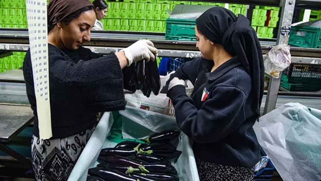 Foto - Putin özür dilemişti! Türkiye Rusya'yı ipten aldı, gemiler peş peşe yola çıktı