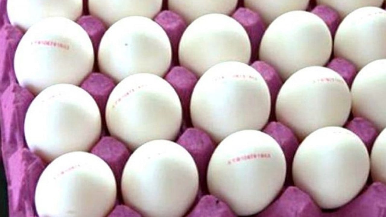 Foto - Putin yine özür dileyip Türkiye'nin kapısını çalabilir! Rusya'da büyük kriz patlak verdi