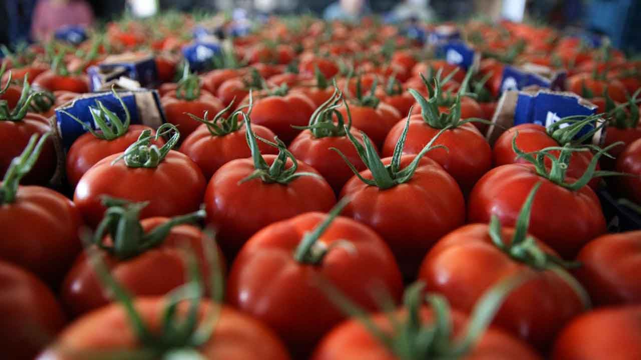 Foto - Putin'den Rus çiftçileri kızdıracak 'Türkiye' kararı! Emri verdi apar topar harekete geçildi