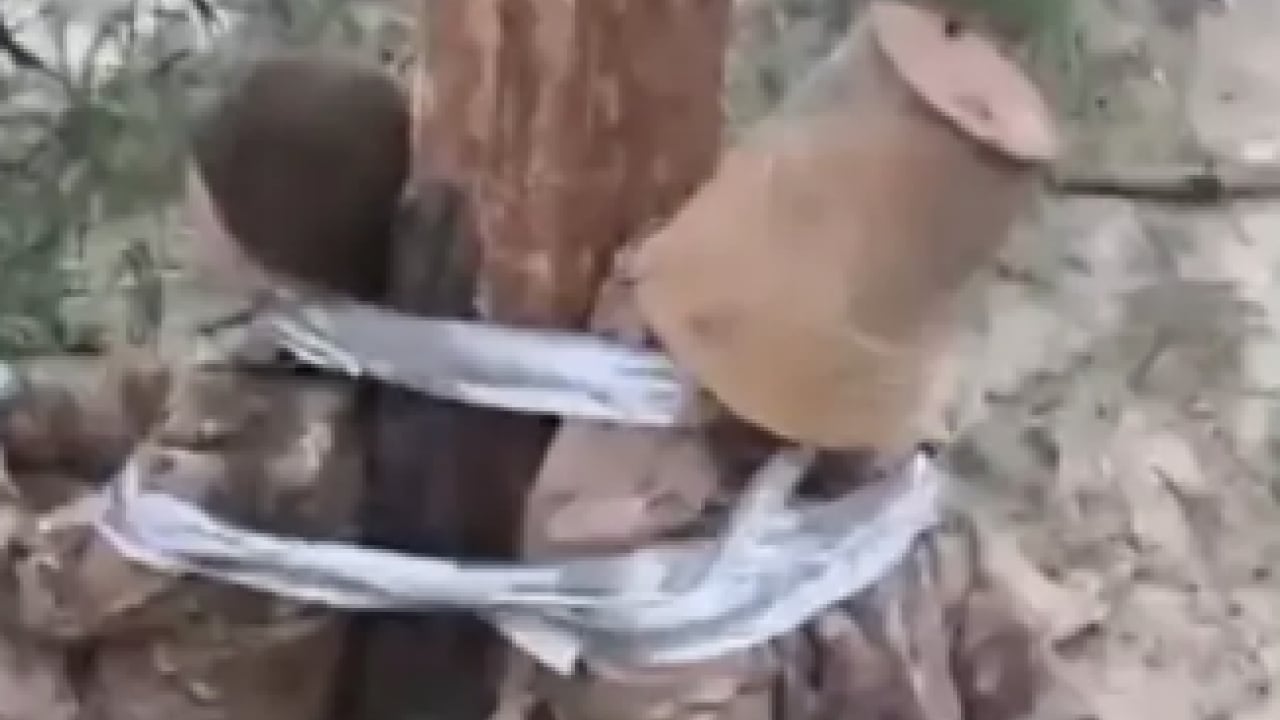 Foto - Putin'in komutanları neler yapmış neler! Rus ordusunda skandal görüntüler! Kaçan köpekler muamelesi