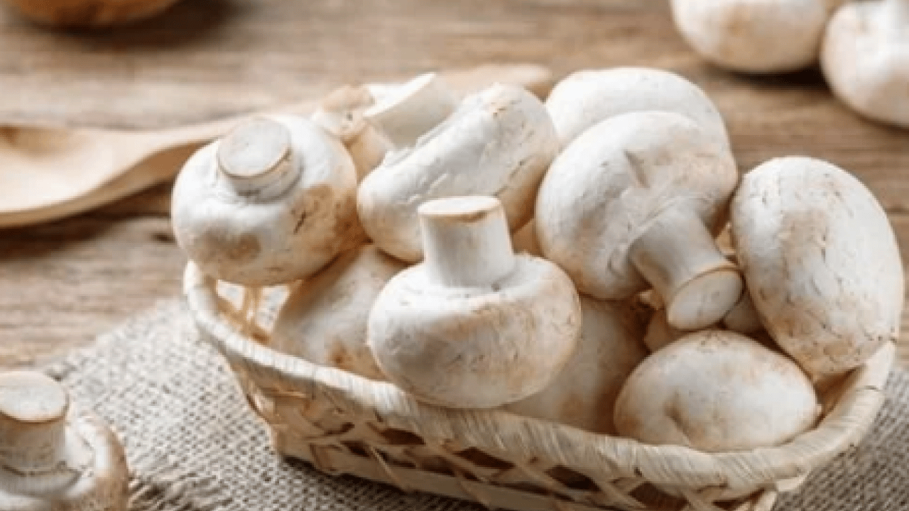 Foto - Patlama üzerinden 40 yıl geçti: Bilim radyasyon yiyen mantar buldu! Tarihi adım