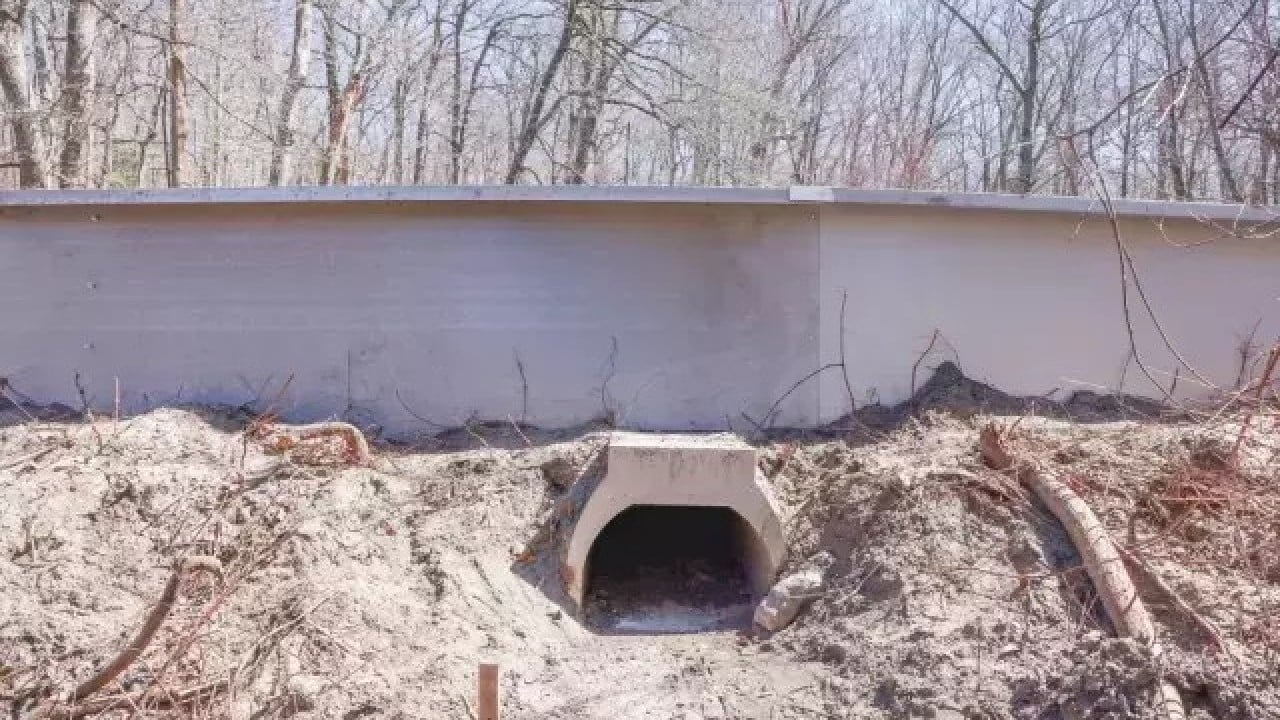 Foto - Rahat rahat çiftleşsinler diye tünel yaptılar! Ses Kütahya'dan da yükseldi