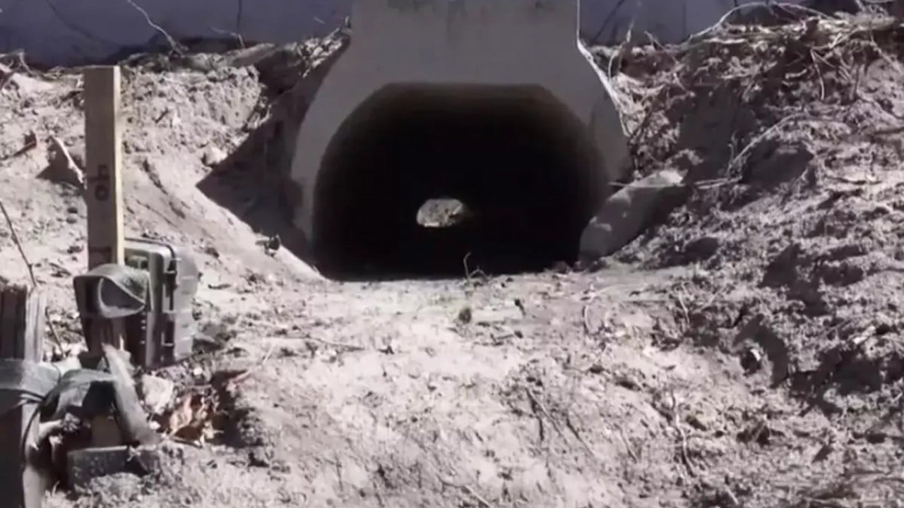 Rahat rahat çiftleşsinler diye tünel yaptılar! Ses Kütahya'dan da yükseldi