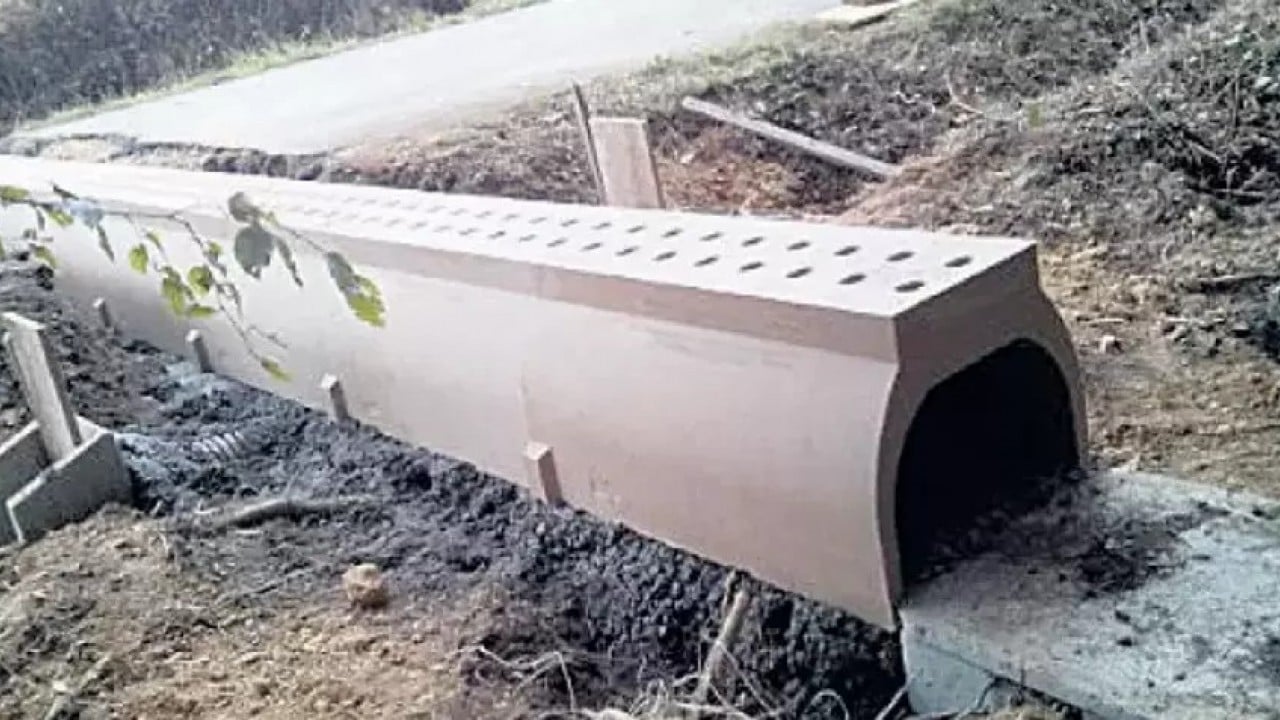 Foto - Rahat rahat çiftleşsinler diye tünel yaptılar! Ses Kütahya'dan da yükseldi