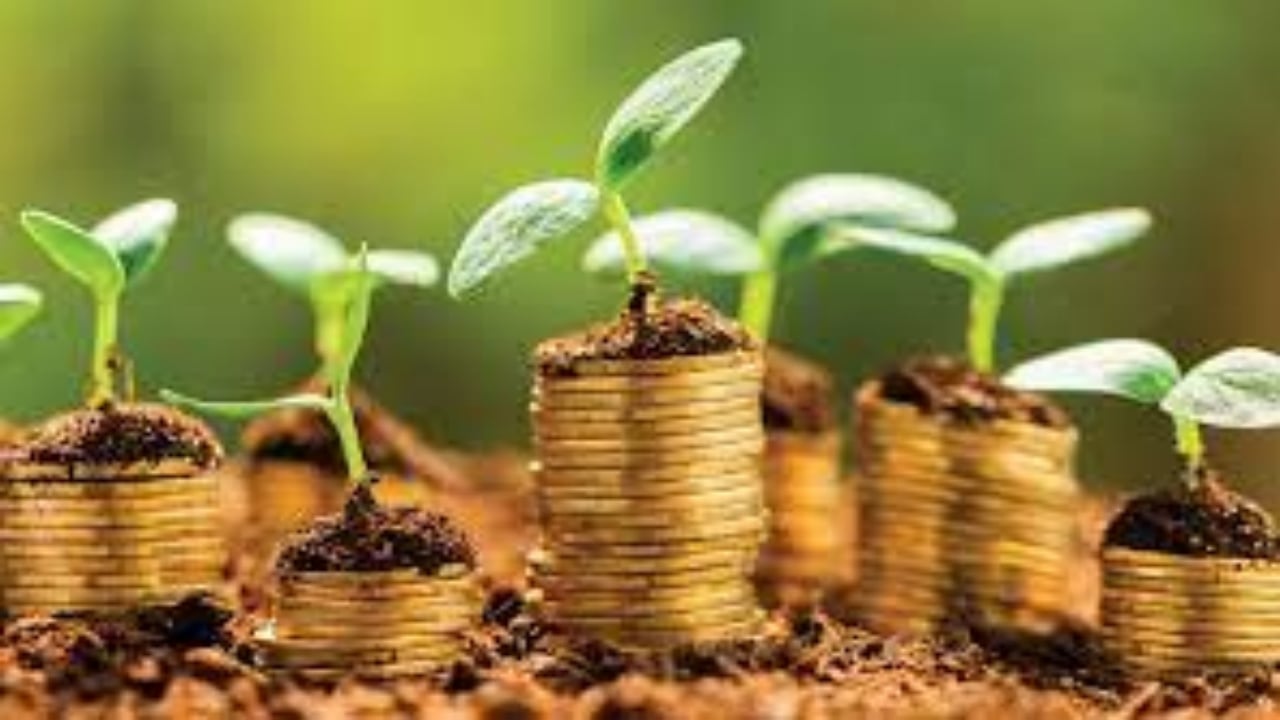 Foto - Rakamı duyanın ağzı açık kaldı! Hazine’nin bütçesine ek 50 milyar lira: Tamamı bu mesleği yapanlara gidecek