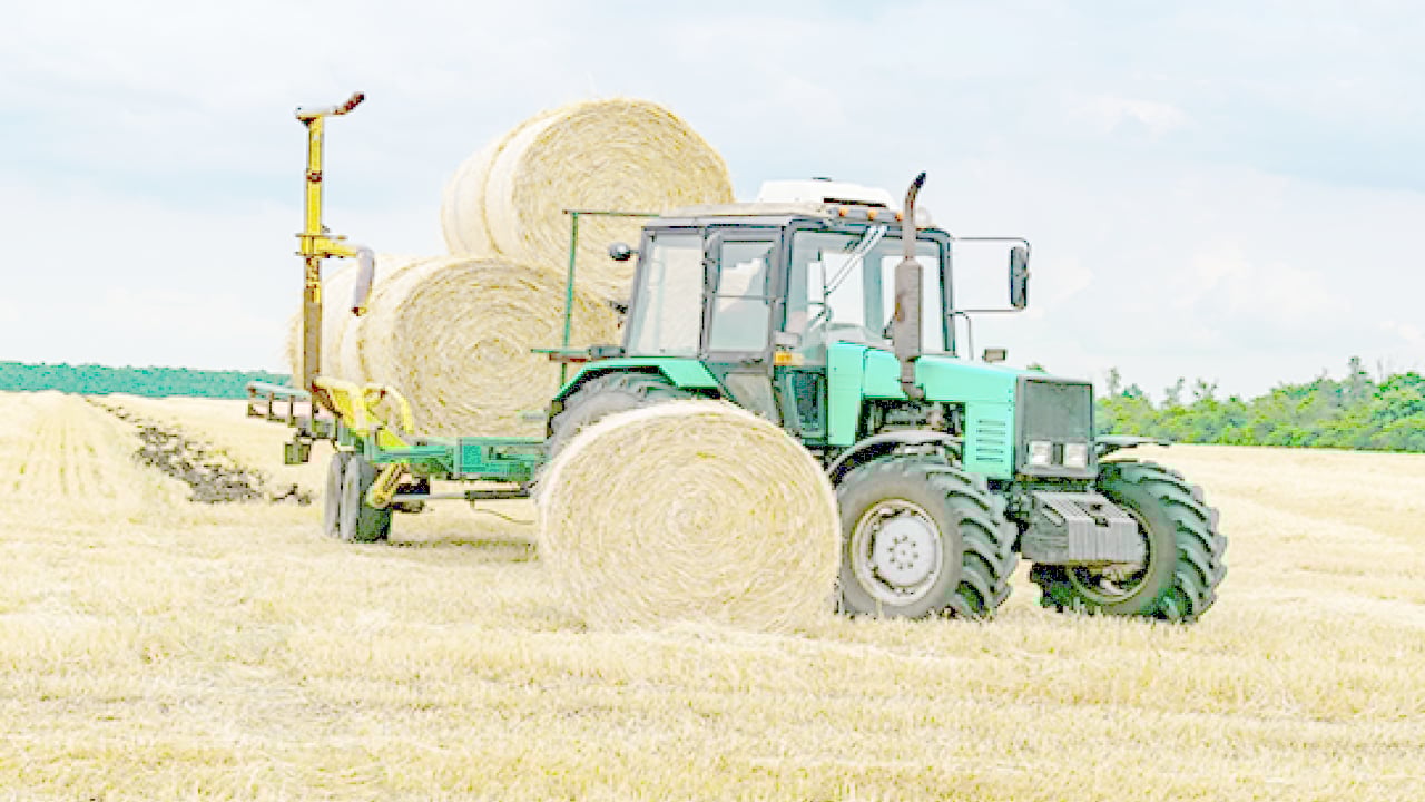 Foto - Rakamı duyanın ağzı açık kaldı! Hazine’nin bütçesine ek 50 milyar lira: Tamamı bu mesleği yapanlara gidecek