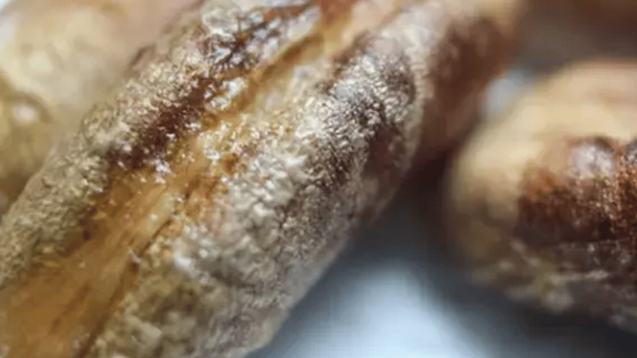 Ramazan ayının sembol besini: Hurma çekirdeğinin faydalarını biliyor muydunuz?