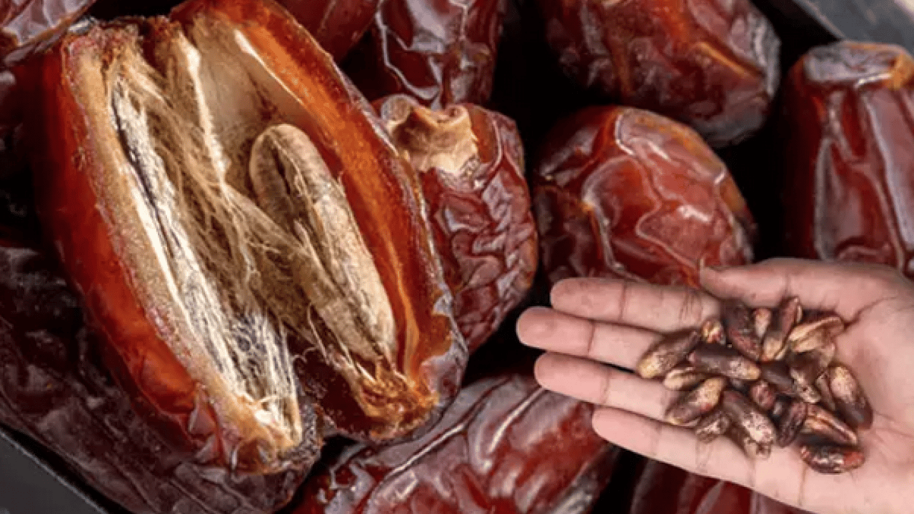 Foto - Ramazan ayının sembol besini: Hurma çekirdeğinin faydalarını biliyor muydunuz?