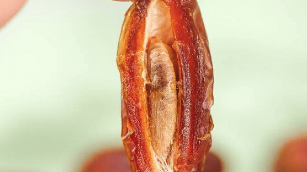 Foto - Ramazan ayının sembol besini: Hurma çekirdeğinin faydalarını biliyor muydunuz?