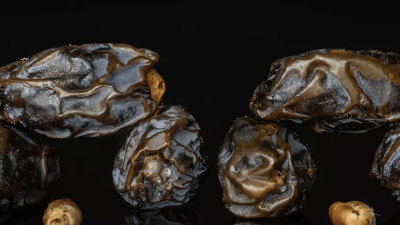 Foto - Ramazan-ı Şerif coşkusu başlıyor... Bayat hurmayı anlamanın 3 püf noktası