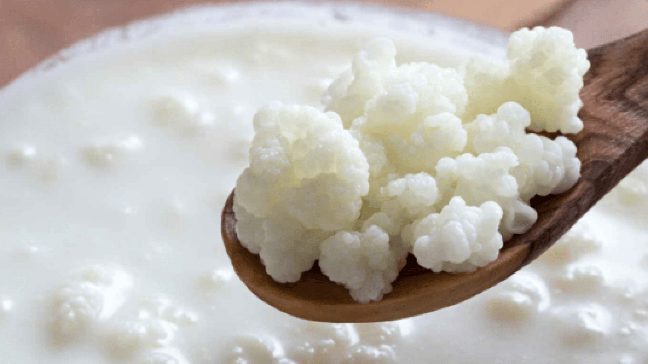 Foto - Ramazan'da kefir içmek kilo verdirir mi? Gastroenteroji uzmanı tek tek açıkladı...