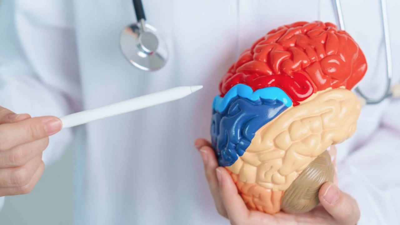 Foto - Rehabilitasyona dikkat: İnmede erken tedavi kaybedilen fonksiyonları geri getiriyor...