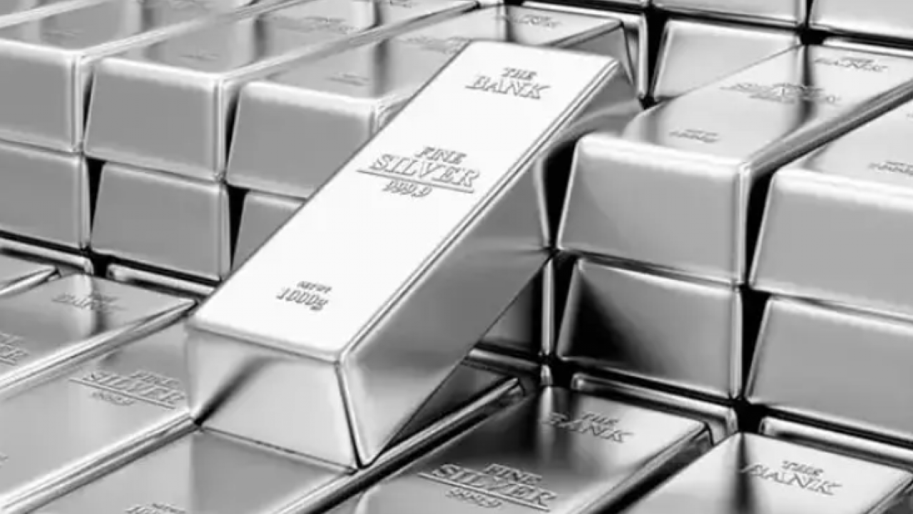 Foto - Rekor sevinci kursakta kaldı! Ustalar bile ayırt edemiyor!