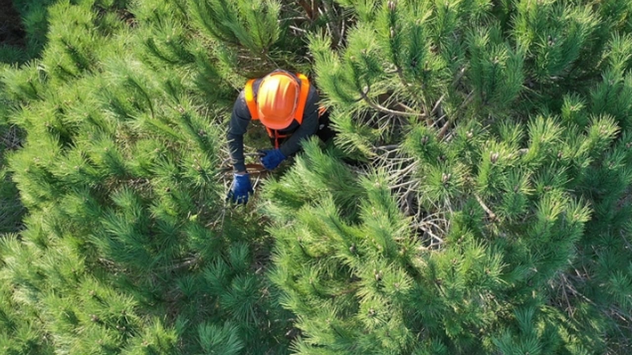 Foto - Remsen duyuruldu: Yüzlerce sözleşmeli personel alınacak!