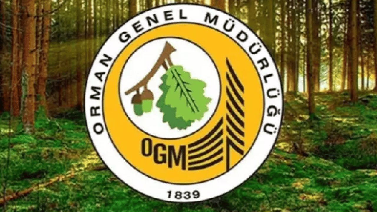 Remsen duyuruldu: Yüzlerce sözleşmeli personel alınacak!