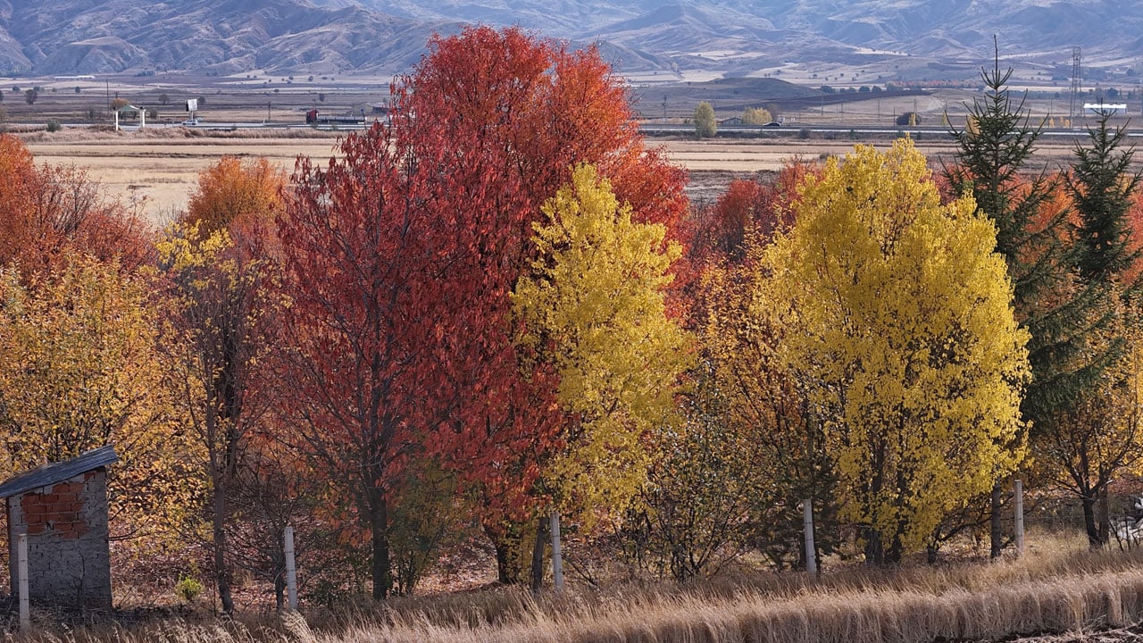 Foto - Renk cümbüşü! Sonbahar Sivas’a çok yakıştı