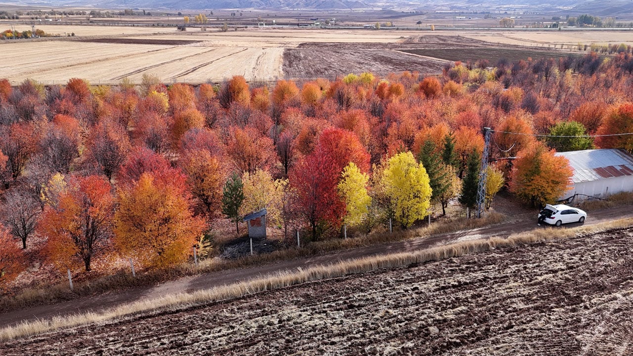 Renk cümbüşü! Sonbahar Sivas’a çok yakıştı