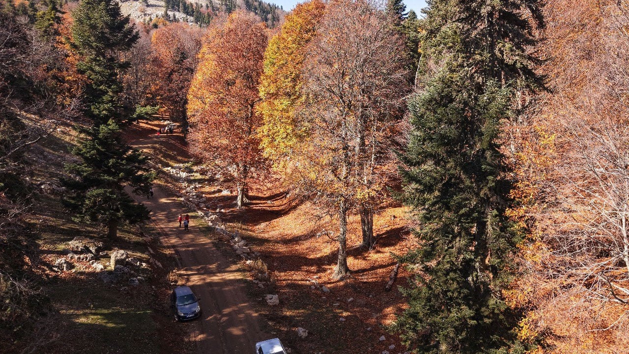 Foto - Renklerin dansı başladı! Yeşilden kızıla muhteşem dönüşüm