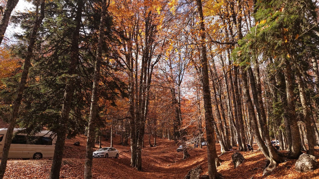 Foto - Renklerin dansı başladı! Yeşilden kızıla muhteşem dönüşüm
