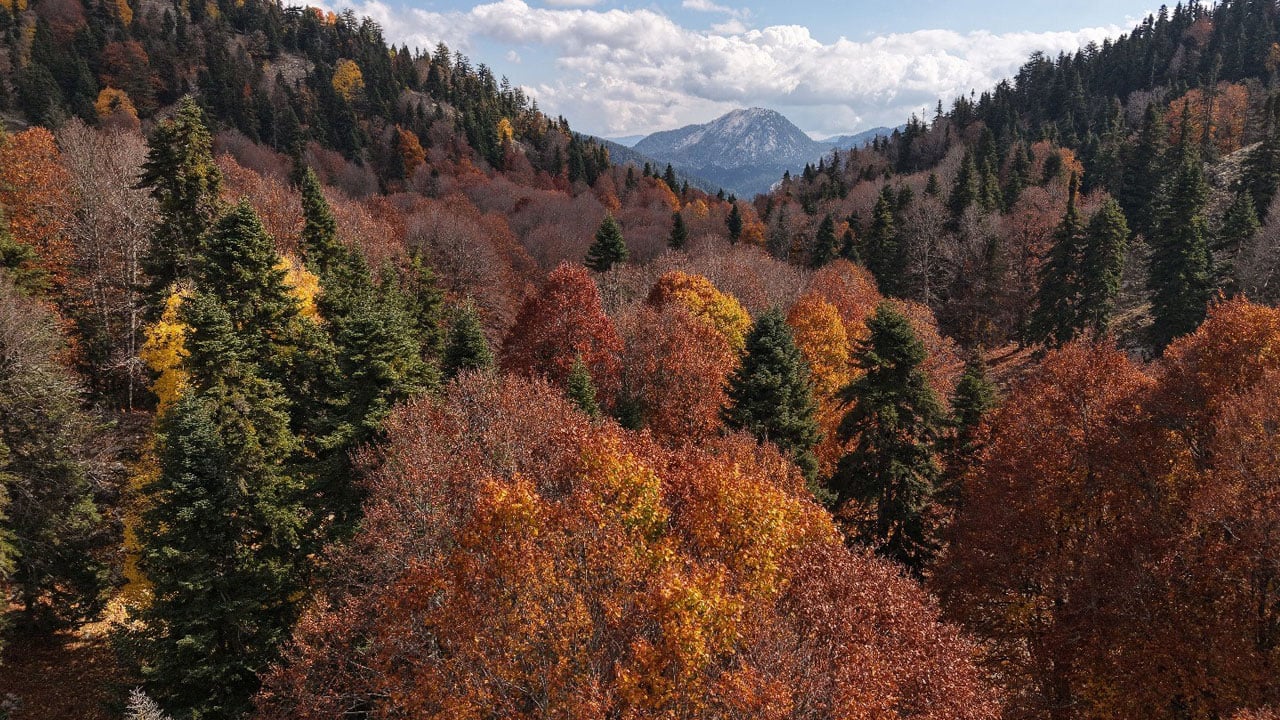Renklerin dansı başladı! Yeşilden kızıla muhteşem dönüşüm