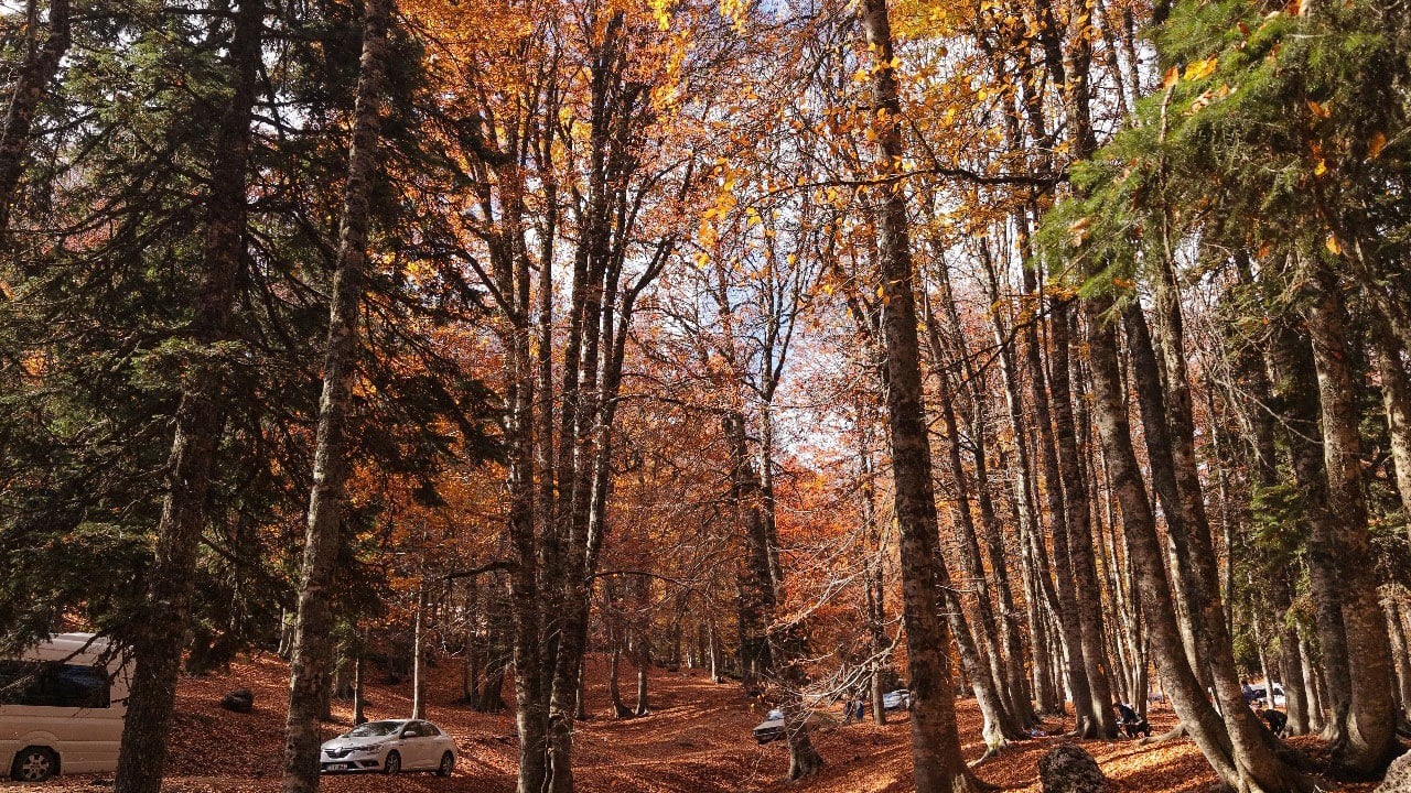 Foto - Renklerin dansı başladı! Yeşilden kızıla muhteşem dönüşüm