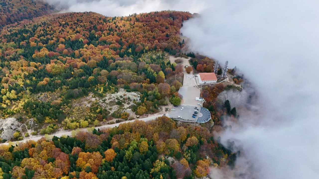 Renklerin dansı! Sonbahar sisle buluştu