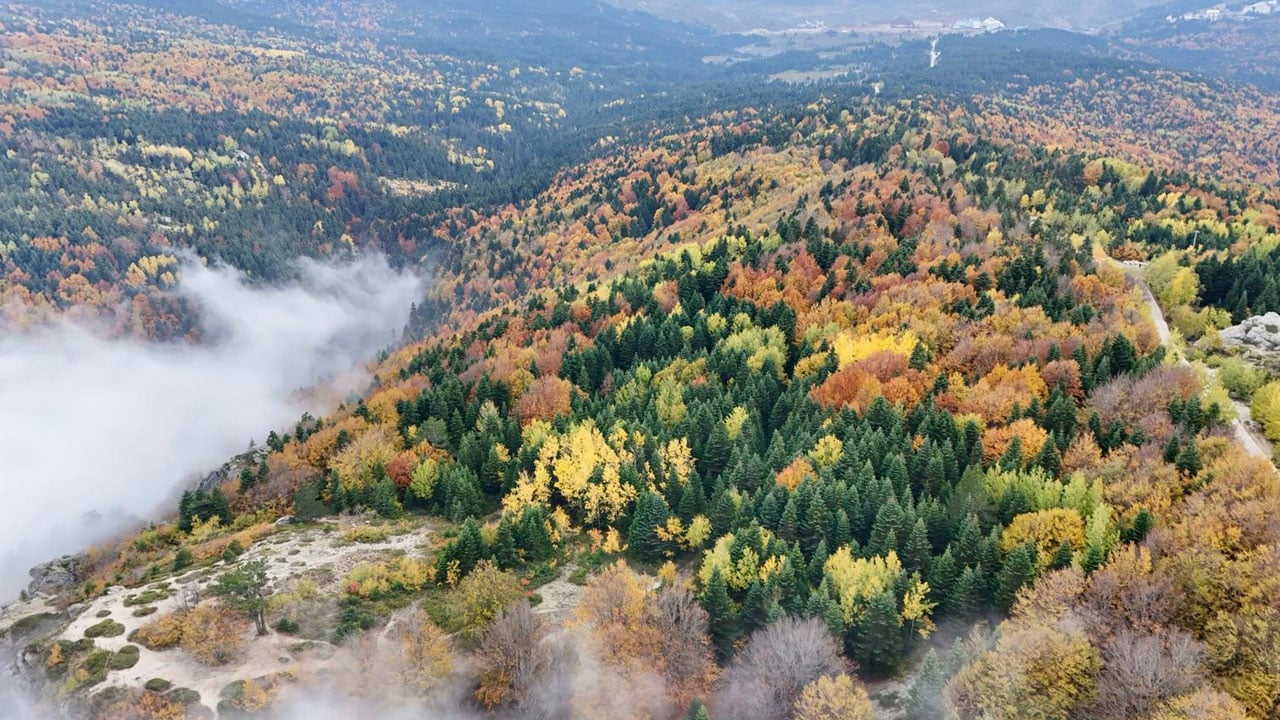 Foto - Renklerin dansı! Sonbahar sisle buluştu