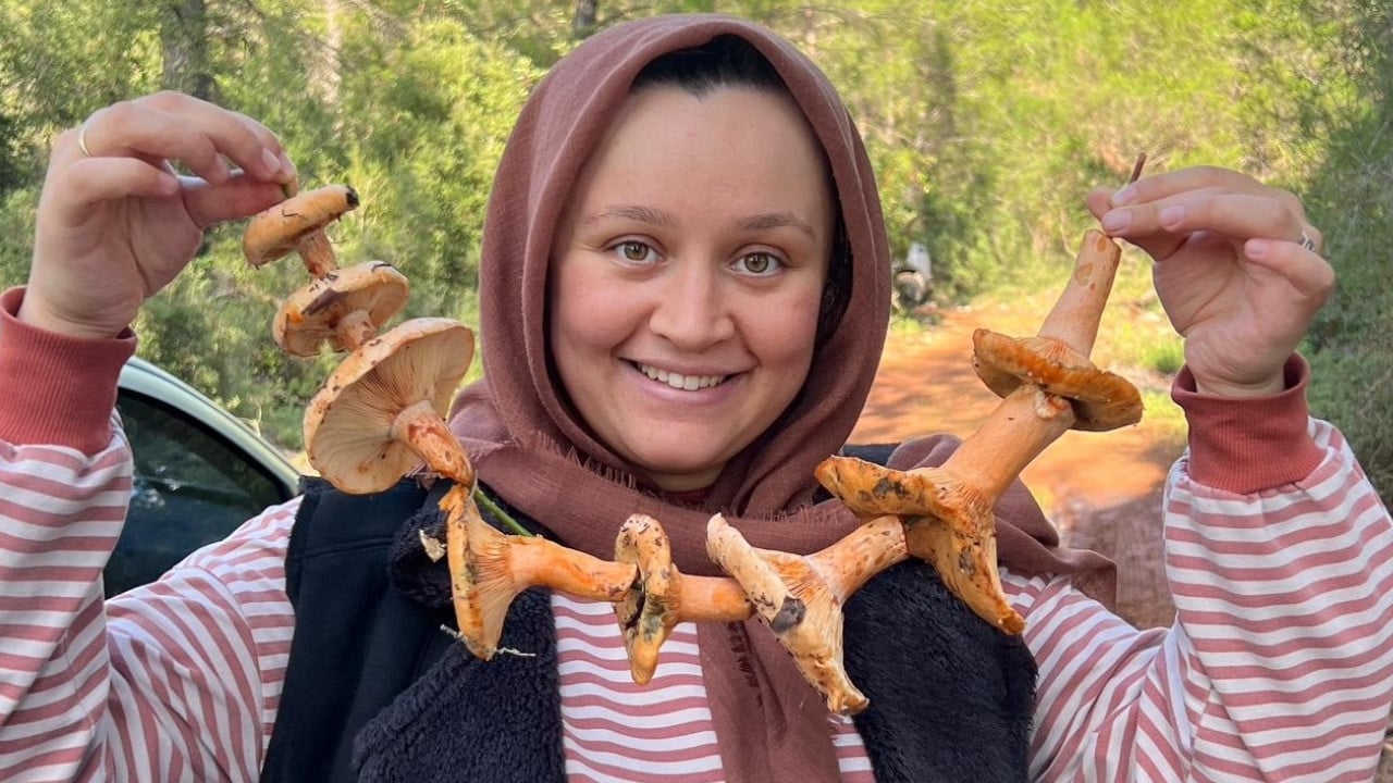 Resmen akın var! Ormandan topluyorlar, kilosunu 400 liradan bir çırpıda satıyorlar