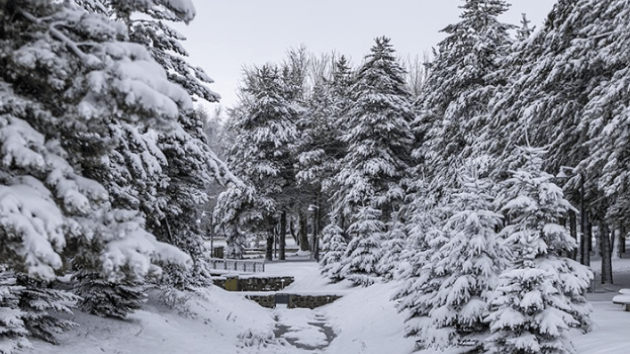 Resmen buz kesti: İşte Türkiye'nin en soğuk yeri!