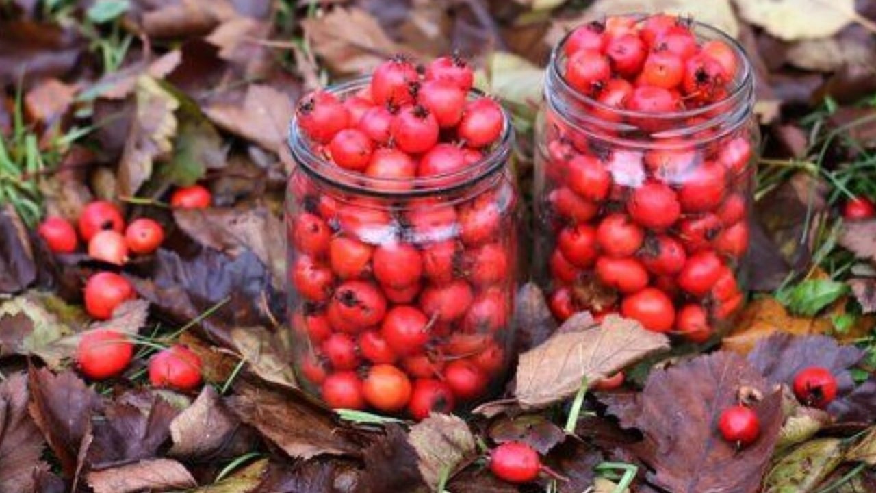 Foto - Resmen hazine! Kalp dostu meyve var ama biz kıymetini yeterince bilmiyoruz! Öyle bir şey ki... Ayrı bir şey