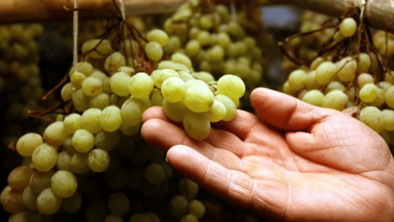 Foto - Resmen şeker deposu: En çok kilo aldıran meyve açıklandı!