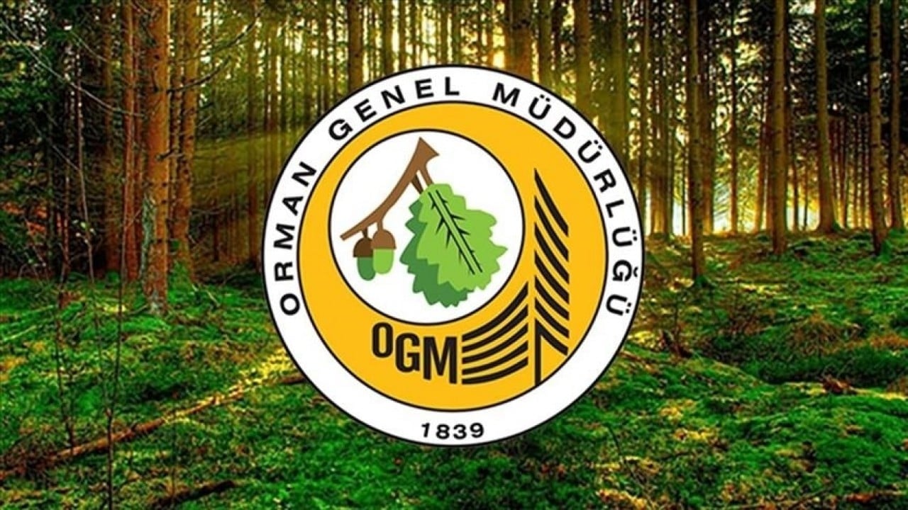 Resmi Gazete'de yayımlandı! Orman Genel Müdürlüğü işçi alacak