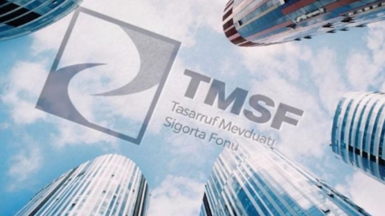Foto - Resmi Gazete'de yayımlandı: TMSF bir şirketi daha satışa çıkardı