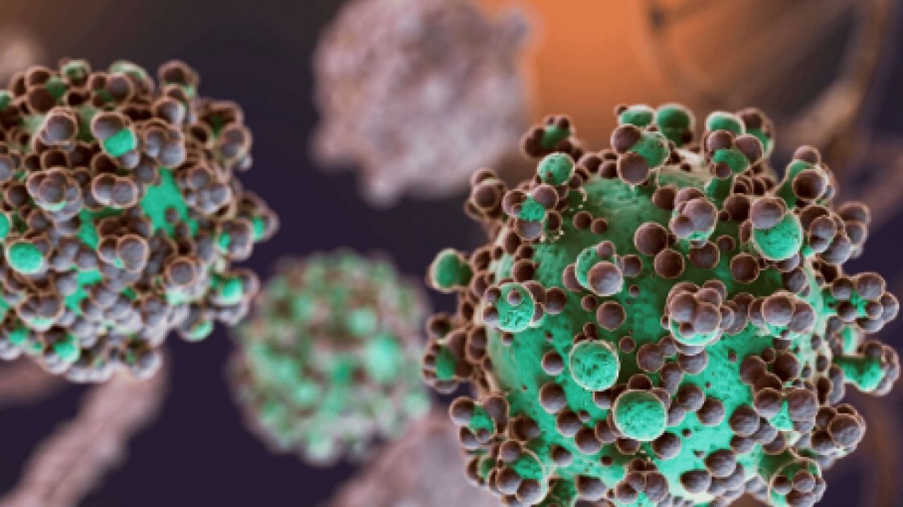 Foto - Respiratuvar Sinsityal Virüs... Hastalık haritası değişti: RSV düşüşte, grip tırmanışta