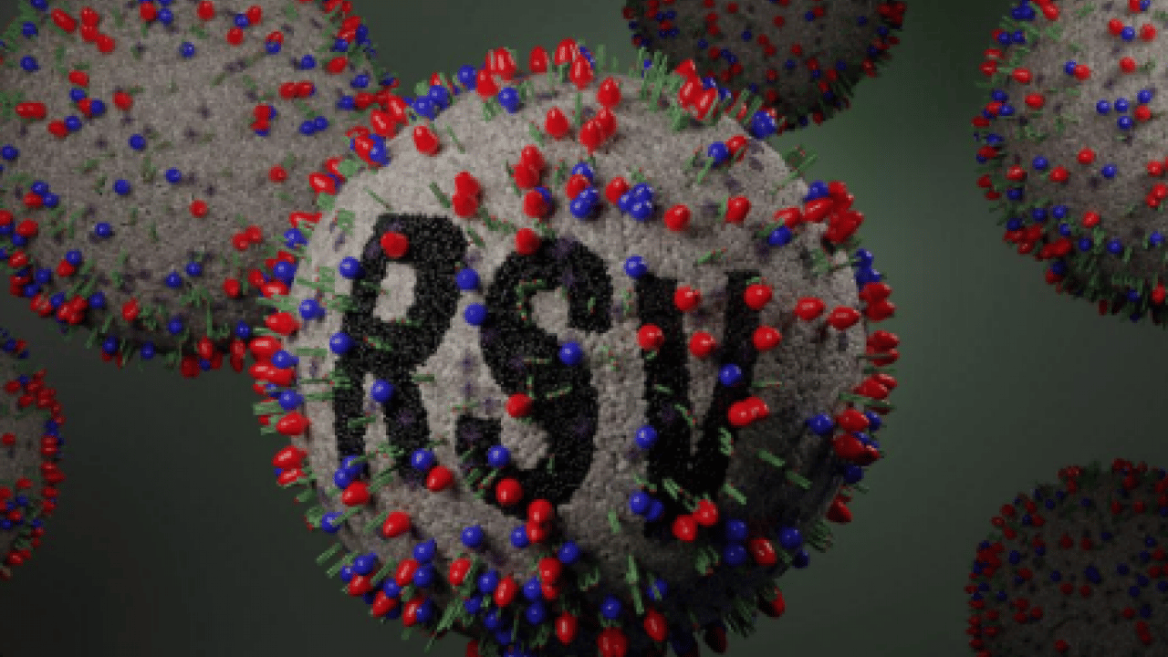 Respiratuvar Sinsityal Virüs... Hastalık haritası değişti: RSV düşüşte, grip tırmanışta
