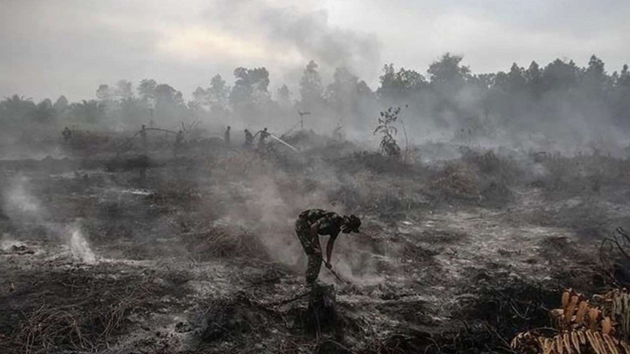 Foto - Risk bu yıl daha da yükseldi: ‘Yeşil Vatan’ın kabusu: El nino