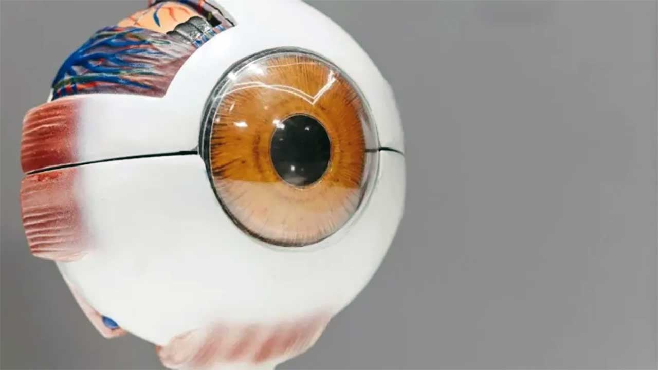 Foto - Robotlar insanlar gibi görebilecek